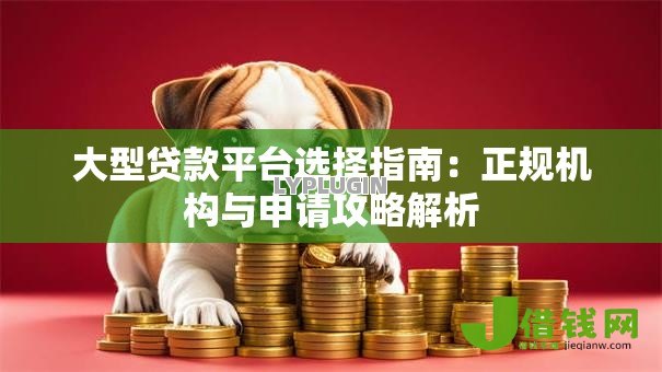 大型贷款平台选择指南：正规机构与申请攻略解析