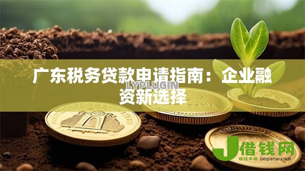 广东税务贷款申请指南:企业融资新选择 广东税务贷款申请指南:企业融资新选择