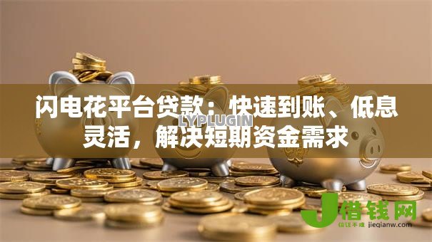 闪电花平台贷款：快速到账、低息灵活，解决短期资金需求