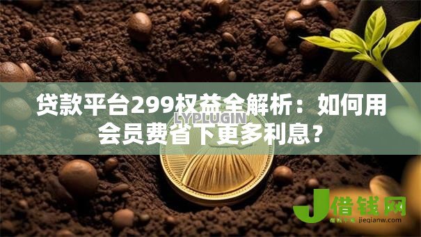 贷款平台299权益全解析:如何用会员费省下更多利息? 贷款平台299权益全解析:如何用会员费省下更多利息?