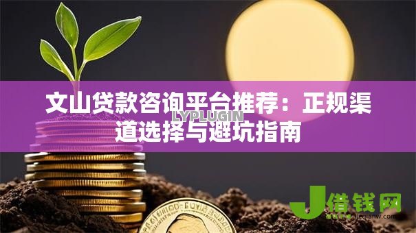 文山贷款咨询平台推荐：正规渠道选择与避坑指南