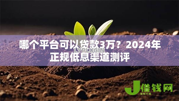 哪个平台可以贷款3万?2024年正规低息渠道测评 哪个平台可以贷款3万?2024年正规低息渠道测评