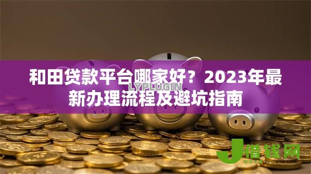 和田贷款平台哪家好？2023年最新办理流程及避坑指南