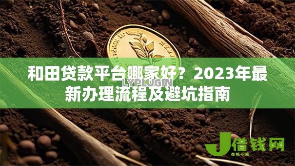 和田贷款平台哪家好？2023年最新办理流程及避坑指南