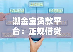 潮金宝贷款平台:正规借贷方案与灵活服务解析 潮金宝贷款平台:正规借贷方案与灵活服务解析