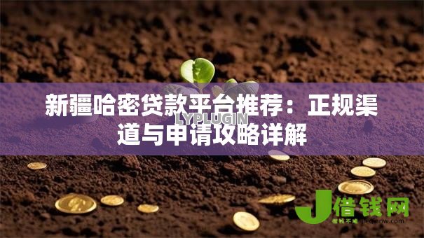 新疆哈密贷款平台推荐:正规渠道与申请攻略详解 新疆哈密贷款平台推荐:正规渠道与申请攻略详解