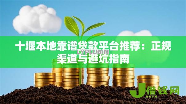 十堰本地靠谱贷款平台推荐：正规渠道与避坑指南