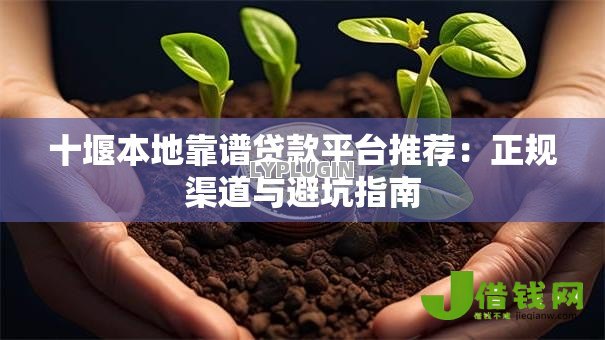 十堰本地靠谱贷款平台推荐：正规渠道与避坑指南