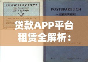 贷款APP平台租赁全解析:优势、风险与选择指南 贷款APP平台租赁全解析:优势、风险与选择指南