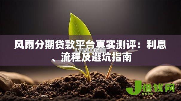 风雨分期贷款平台真实测评：利息、流程及避坑指南