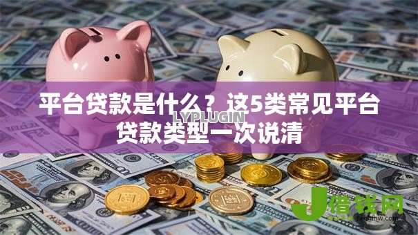 平台贷款是什么?这5类常见平台贷款类型一次说清 平台贷款是什么?这5类常见平台贷款类型一次说清