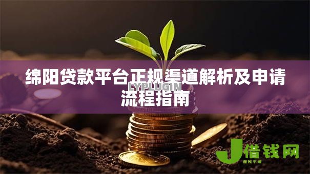 绵阳贷款平台正规渠道解析及申请流程指南 绵阳贷款平台正规渠道解析及申请流程指南