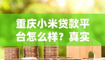 重庆小米贷款平台怎么样？真实评测+申请全攻略