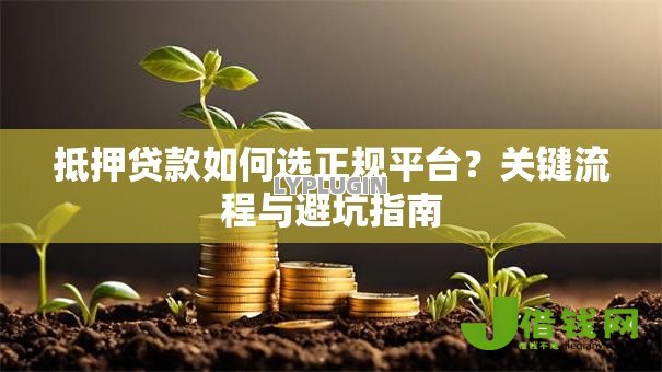 抵押贷款如何选正规平台？关键流程与避坑指南