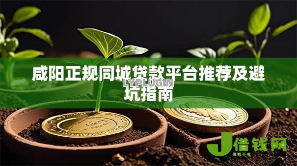 咸阳正规同城贷款平台推荐及避坑指南 咸阳正规同城贷款平台推荐及避坑指南