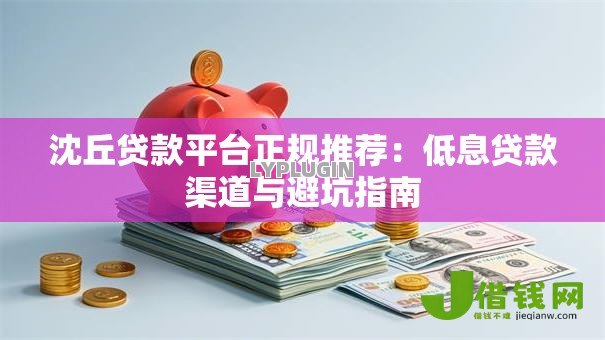 沈丘贷款平台正规推荐：低息贷款渠道与避坑指南