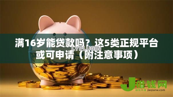 满16岁能贷款吗？这5类正规平台或可申请（附注意事项）
