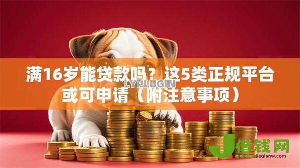 满16岁能贷款吗？这5类正规平台或可申请（附注意事项）