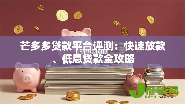 芒多多贷款平台评测：快速放款、低息贷款全攻略