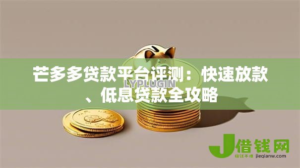 芒多多贷款平台评测：快速放款、低息贷款全攻略