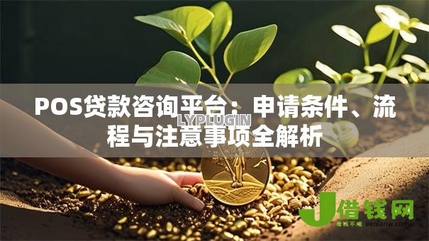 POS贷款咨询平台:申请条件、流程与注意事项全解析 POS贷款咨询平台:申请条件、流程与注意事项全解析