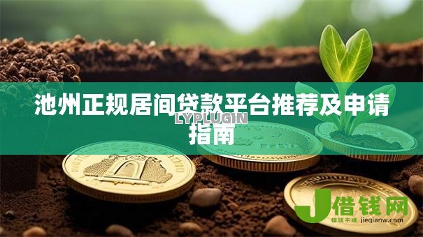 池州正规居间贷款平台推荐及申请指南 池州正规居间贷款平台推荐及申请指南