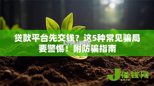 贷款平台先交钱？这5种常见骗局要警惕！附防骗指南