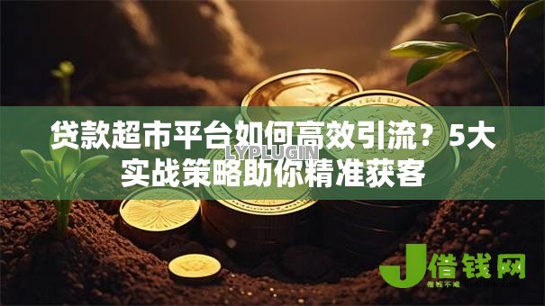 贷款超市平台如何高效引流?5大实战策略助你精准获客 贷款超市平台如何高效引流?5大实战策略助你精准获客