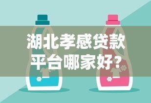 湖北孝感贷款平台哪家好?正规渠道+避坑指南 湖北孝感贷款平台哪家好?正规渠道+避坑指南