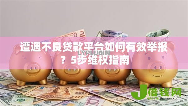 遭遇不良贷款平台如何有效举报？5步维权指南