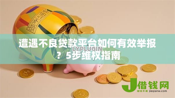 遭遇不良贷款平台如何有效举报？5步维权指南