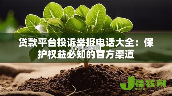 贷款平台投诉举报电话大全:保护权益必知的官方渠道 贷款平台投诉举报电话大全:保护权益必知的官方渠道