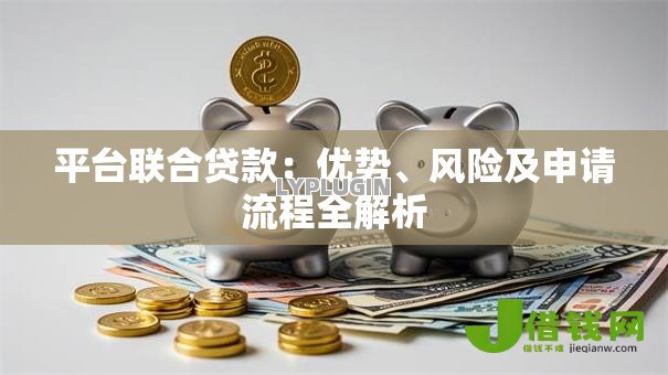 平台联合贷款:优势、风险及申请流程全解析 平台联合贷款:优势、风险及申请流程全解析