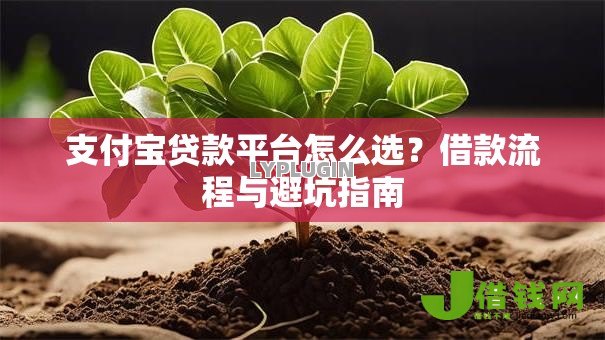 支付宝贷款平台怎么选?借款流程与避坑指南 支付宝贷款平台怎么选?借款流程与避坑指南