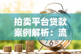 拍卖平台贷款案例解析:流程、风险与成功经验 拍卖平台贷款案例解析:流程、风险与成功经验