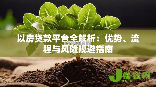 以房贷款平台全解析:优势、流程与风险规避指南 以房贷款平台全解析:优势、流程与风险规避指南