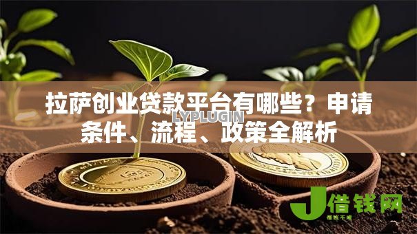拉萨创业贷款平台有哪些？申请条件、流程、政策全解析