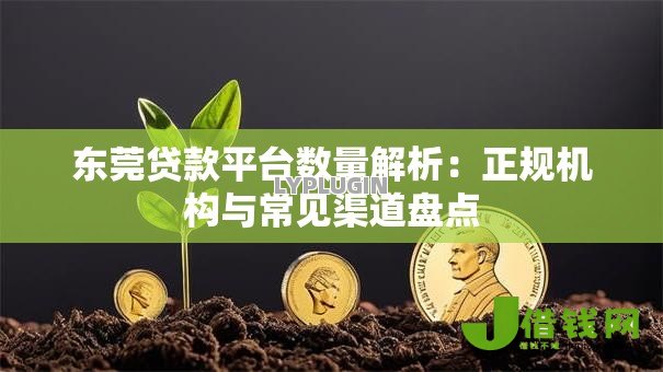 东莞贷款平台数量解析：正规机构与常见渠道盘点