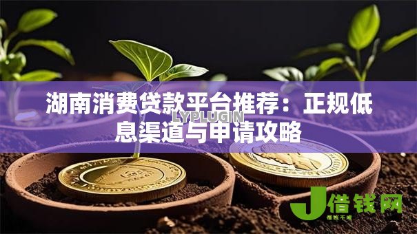 湖南消费贷款平台推荐:正规低息渠道与申请攻略 湖南消费贷款平台推荐:正规低息渠道与申请攻略