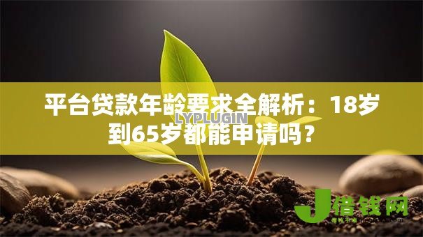 平台贷款年龄要求全解析:18岁到65岁都能申请吗? 平台贷款年龄要求全解析:18岁到65岁都能申请吗?