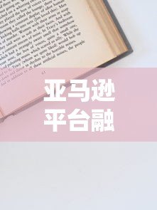 亚马逊平台融资贷款全攻略：申请条件与流程详解