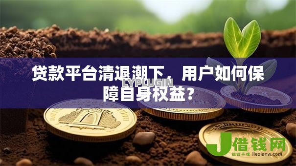贷款平台清退潮下,用户如何保障自身权益? 贷款平台清退潮下,用户如何保障自身权益?