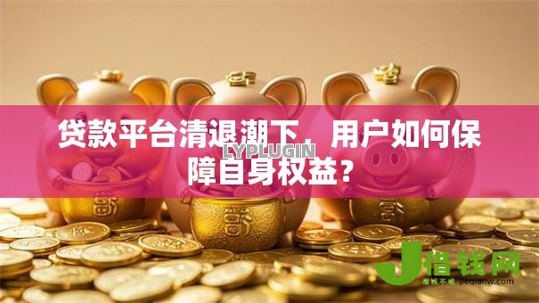 贷款平台清退潮下,用户如何保障自身权益? 贷款平台清退潮下,用户如何保障自身权益?
