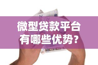 微型贷款平台有哪些优势?如何快速申请小额借款 微型贷款平台有哪些优势?如何快速申请小额借款