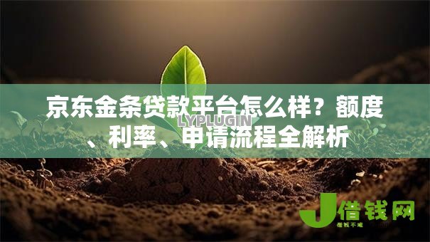 京东金条贷款平台怎么样?额度、利率、申请流程全解析 京东金条贷款平台怎么样?额度、利率、申请流程全解析