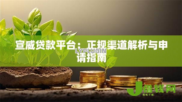 宣威贷款平台：正规渠道解析与申请指南