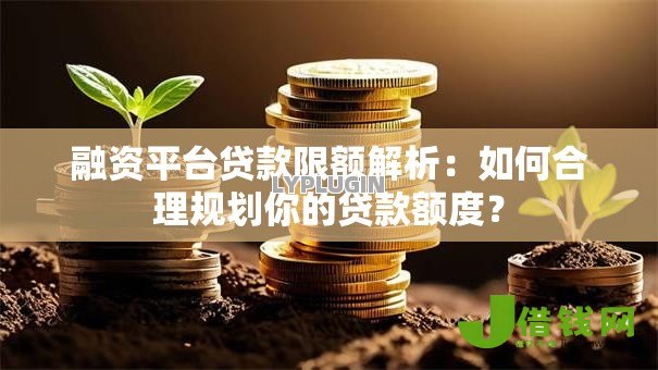 融资平台贷款限额解析：如何合理规划你的贷款额度？