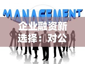 企业融资新选择：对公平台贷款优势解析与申请指南