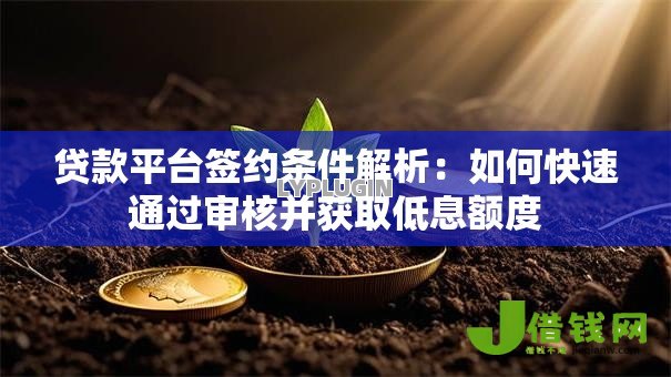 贷款平台签约条件解析：如何快速通过审核并获取低息额度