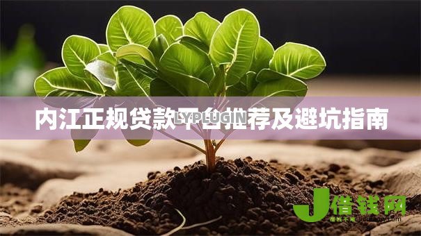 内江正规贷款平台推荐及避坑指南 内江正规贷款平台推荐及避坑指南
